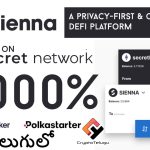 Sienna Network – Defi on Secret Network & Details on Token Sale – Telugu